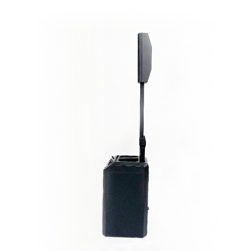 Outdoor Tower Speakers Profess - đánh giá và giá Outdoor Power Line