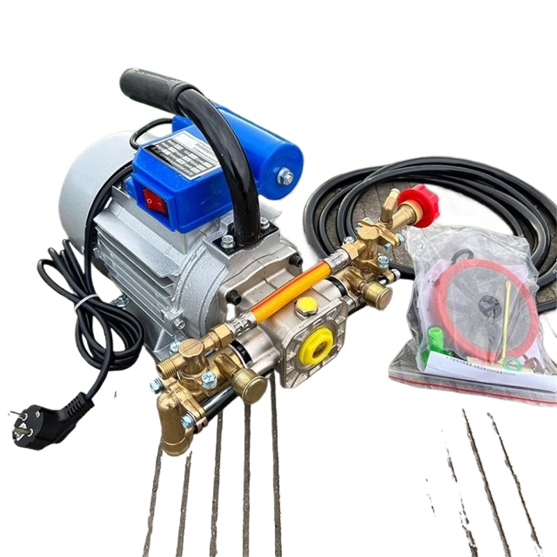 1100W 220V Four-Stroke Dual Cy - đánh giá và giá Electric Sprayer Backpack